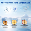 AquaBoost™ - Gezonde Hydrogen Water Bottle