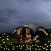 Firefly lights™ - Magische Buiten Verlichting