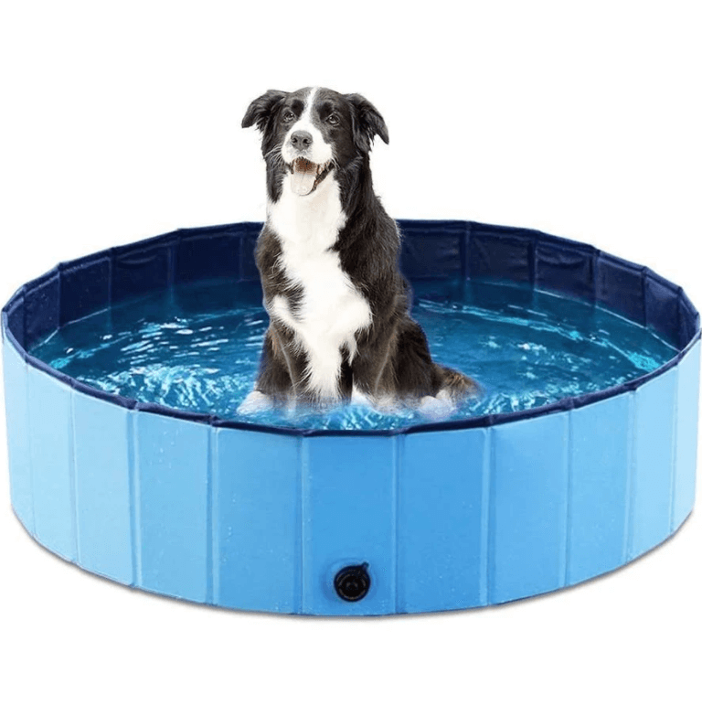 Pawvia-Opvouwbaar hondenzwembad | 50% KORTING