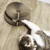 KittyPaw™ kattenspeeltje